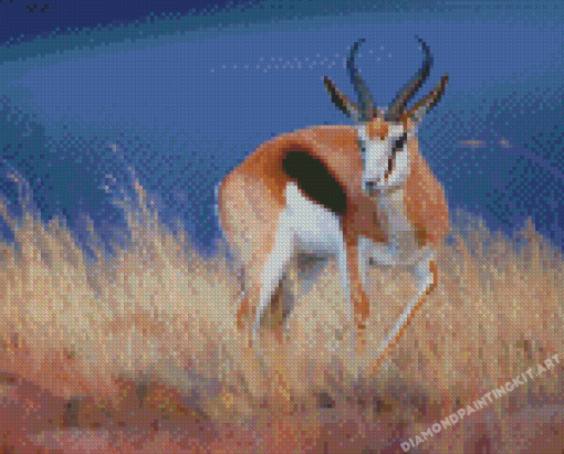 Springbok Diamond Paintings