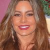 The Actress Sofia Vergara Diamond Paintings