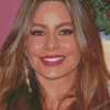 The Actress Sofia Vergara Diamond Paintings