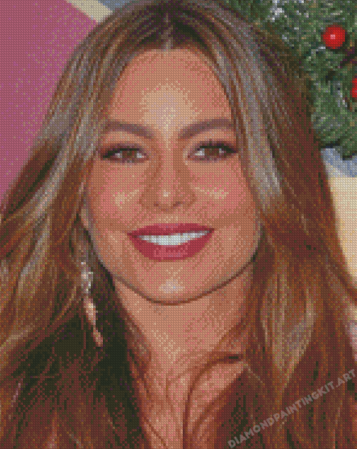 The Actress Sofia Vergara Diamond Paintings