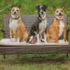 Three Dogs On Bench Diamond Paintings