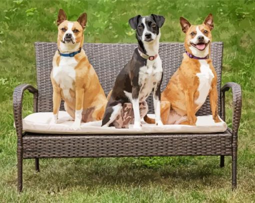 Three Dogs On Bench Diamond Paintings