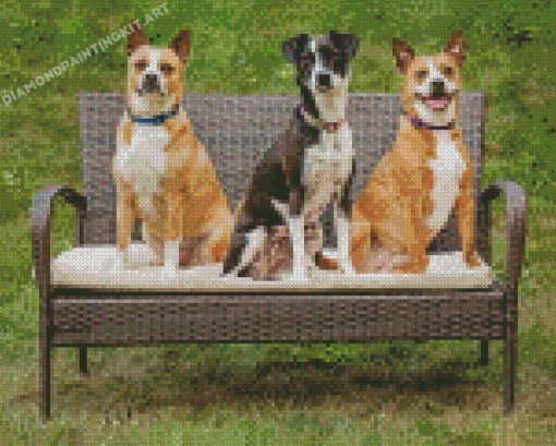 Three Dogs On Bench Diamond Paintings