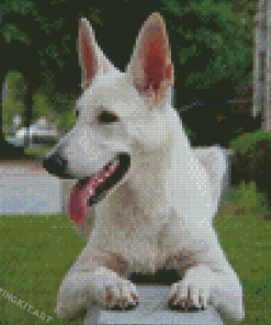 White German Shepherd Diamond Paintings