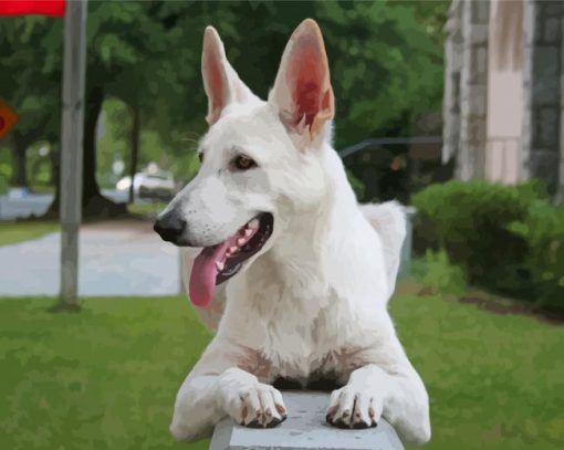 White German Shepherd Diamond Paintings