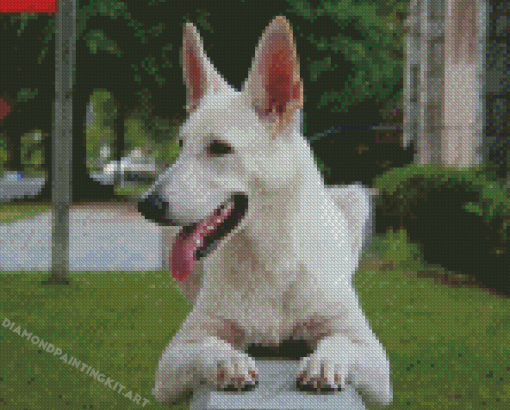 White German Shepherd Diamond Paintings