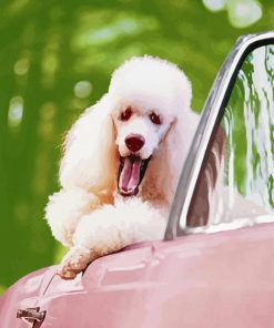 White Poodle In Pink Convertible Car Diamond Paintings