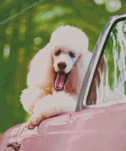 White Poodle In Pink Convertible Car Diamond Paintings