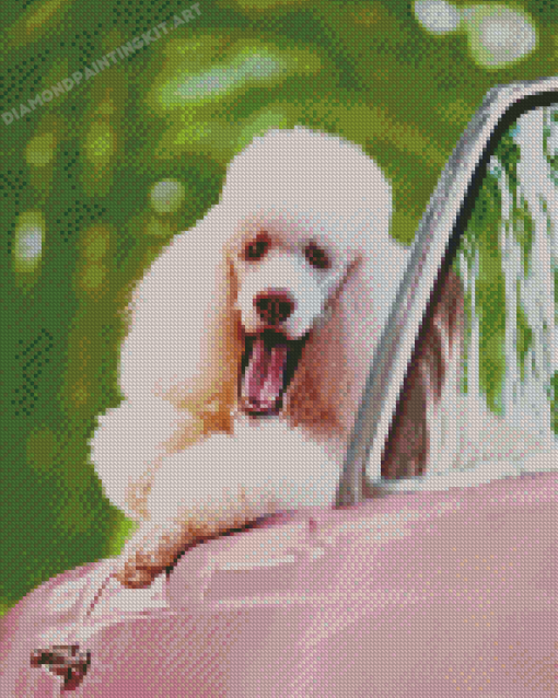 White Poodle In Pink Convertible Car Diamond Paintings