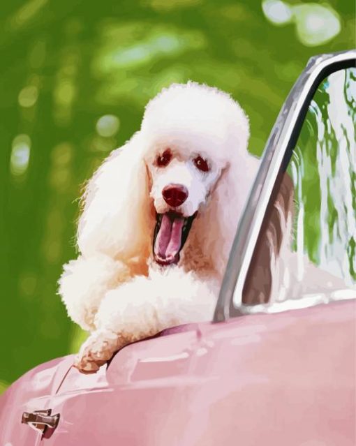 White Poodle In Pink Convertible Car Diamond Paintings