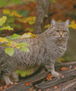 Wildcat Animal Diamond Paintings