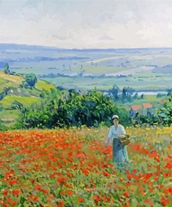 Woman In Poppy Field Diamond Paintings