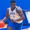 Zion Williamson Diamond Paintings