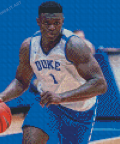 Zion Williamson Diamond Paintings