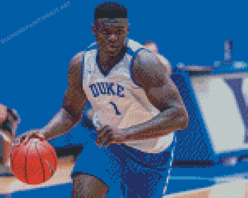 Zion Williamson Diamond Paintings