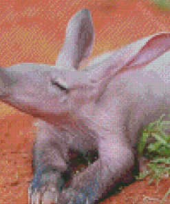 Aardvark Animal Diamond Paintings