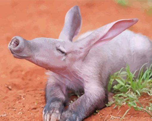 Aardvark Animal Diamond Paintings