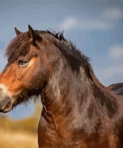 Aesthetic Exmoor Pony Diamond Paintings