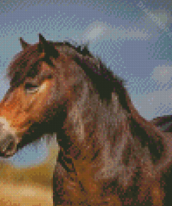 Aesthetic Exmoor Pony Diamond Paintings