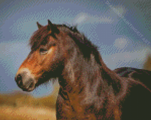 Aesthetic Exmoor Pony Diamond Paintings