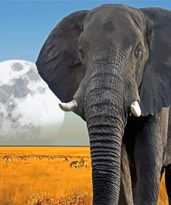 African Elephant Moon Diamond Paintings