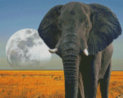 African Elephant Moon Diamond Paintings