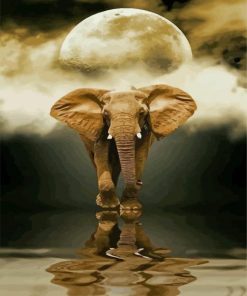 African Elephant Moon Reflection Diamond Paintings