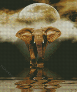 African Elephant Moon Reflection Diamond Paintings