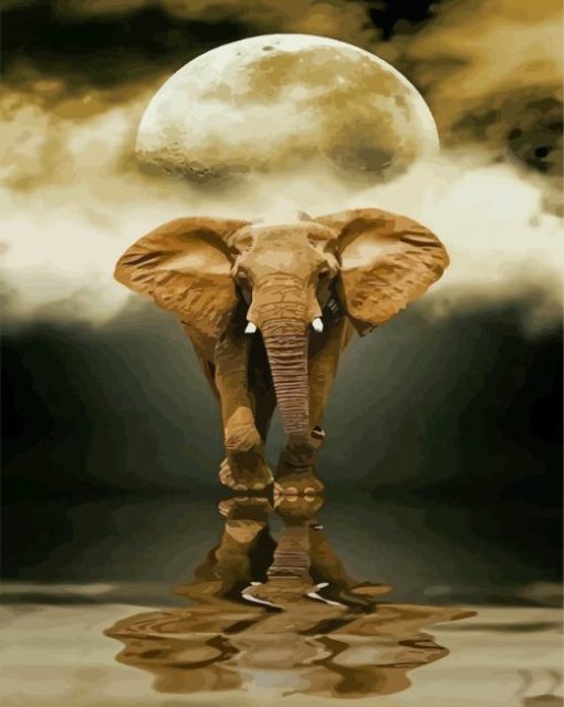 African Elephant Moon Reflection Diamond Paintings