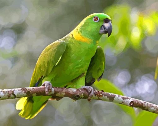 Amazon Parrot Bird Diamond Paintings