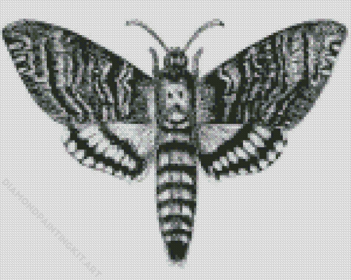 Black And White Death Moth Diamond Paintings