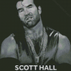 Black And White Poster Scott Hall Diamond Paintings