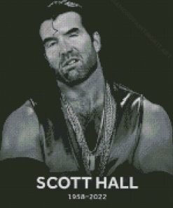 Black And White Poster Scott Hall Diamond Paintings