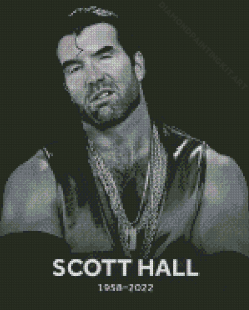 Black And White Poster Scott Hall Diamond Paintings