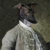 Black Greyhound Dog In Uniform Diamond Paintings