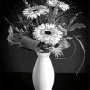 Black And White Daisy Vase Diamond Paintings