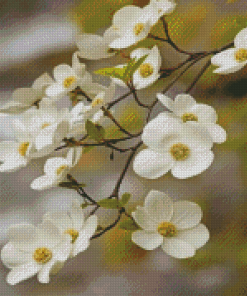 Blooming White Dogwoods Flowers Diamond Paintings