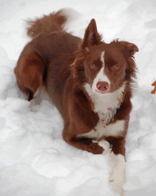 Brown Border Collie In Snow Diamond Paintings