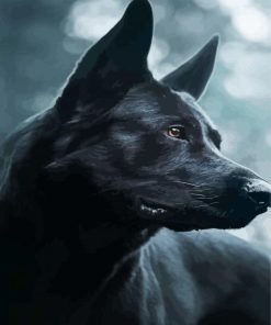 Close Up Black German Shepherd Diamond Paintings