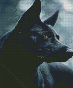 Close Up Black German Shepherd Diamond Paintings