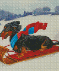 Dachshund Dog Skiing In Snow Diamond Paintings