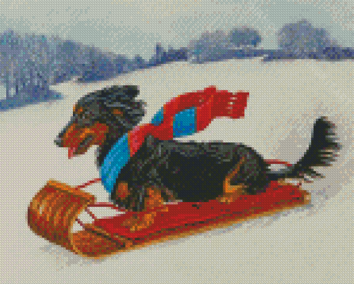 Dachshund Dog Skiing In Snow Diamond Paintings