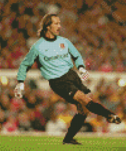 David Seaman English Footballer Diamond Paintings