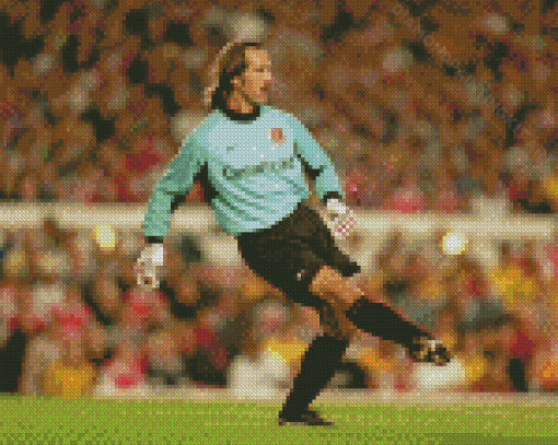 David Seaman English Footballer Diamond Paintings