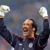 David Seaman Football Player Diamond Paintings