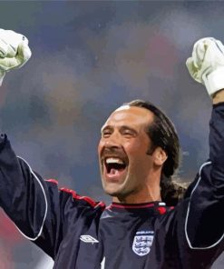 David Seaman Football Player Diamond Paintings