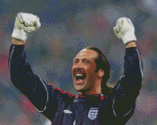 David Seaman Football Player Diamond Paintings