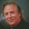 Don Johnson Diamond Paintings