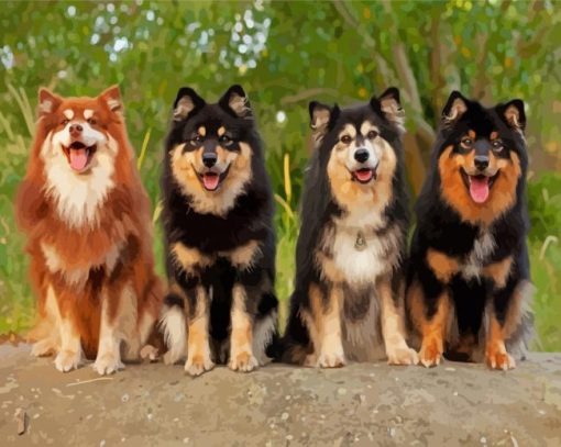 Finnish Lapphunds Diamond Paintings