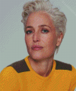 Gillian Anderson With Short Hair Diamond Paintings